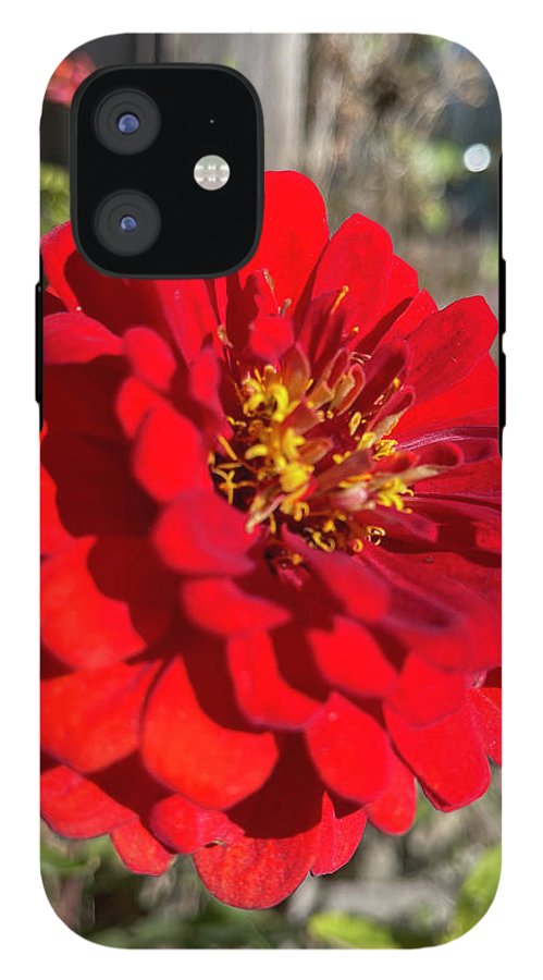 Red Flower In Autumn - Phone Case