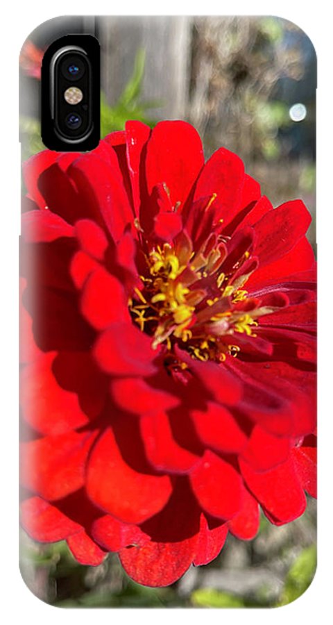 Red Flower In Autumn - Phone Case