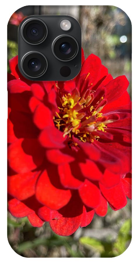 Red Flower In Autumn - Phone Case