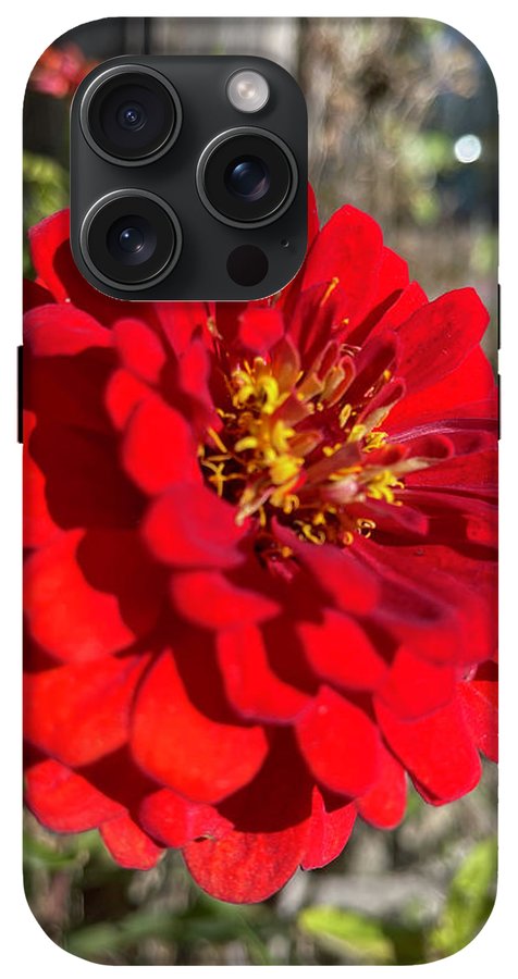 Red Flower In Autumn - Phone Case