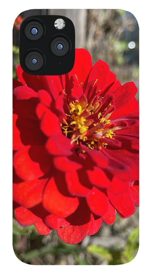 Red Flower In Autumn - Phone Case