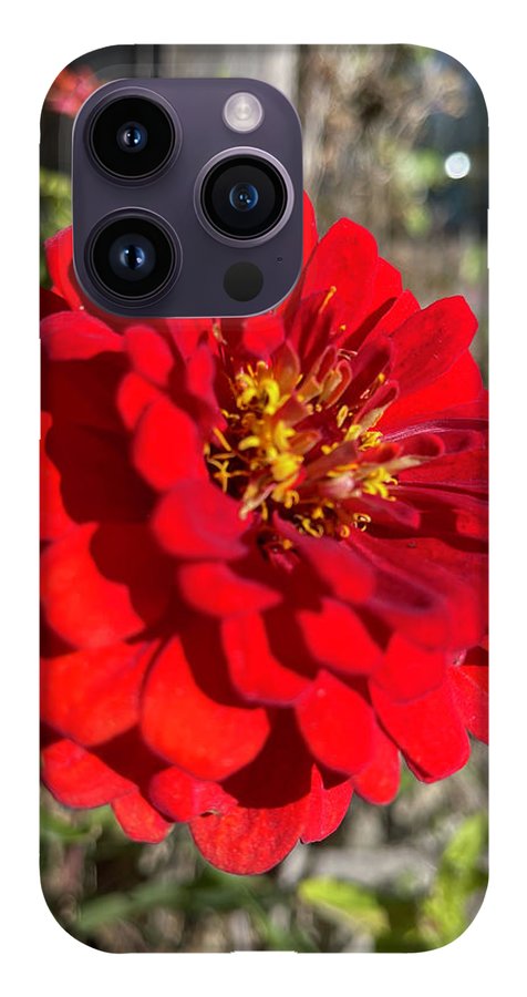 Red Flower In Autumn - Phone Case