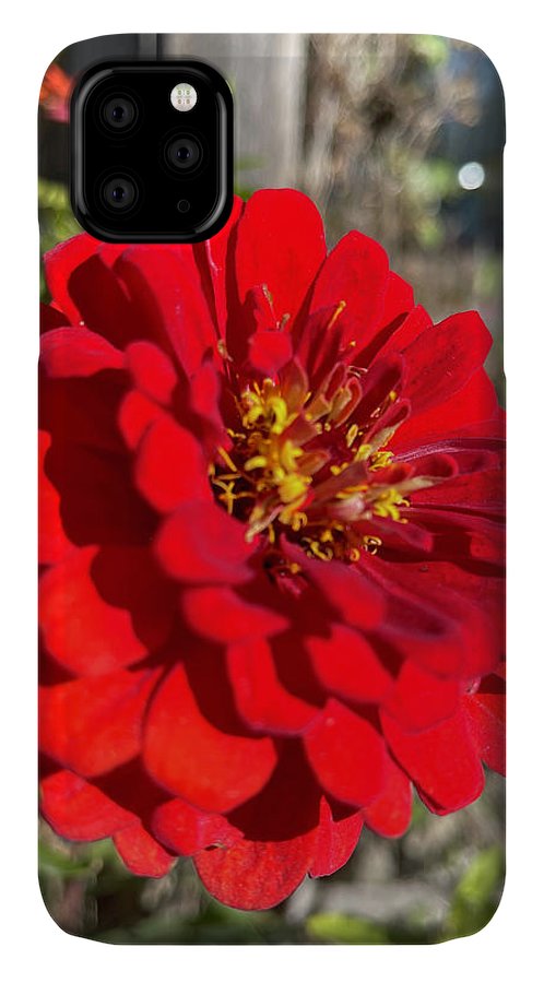 Red Flower In Autumn - Phone Case