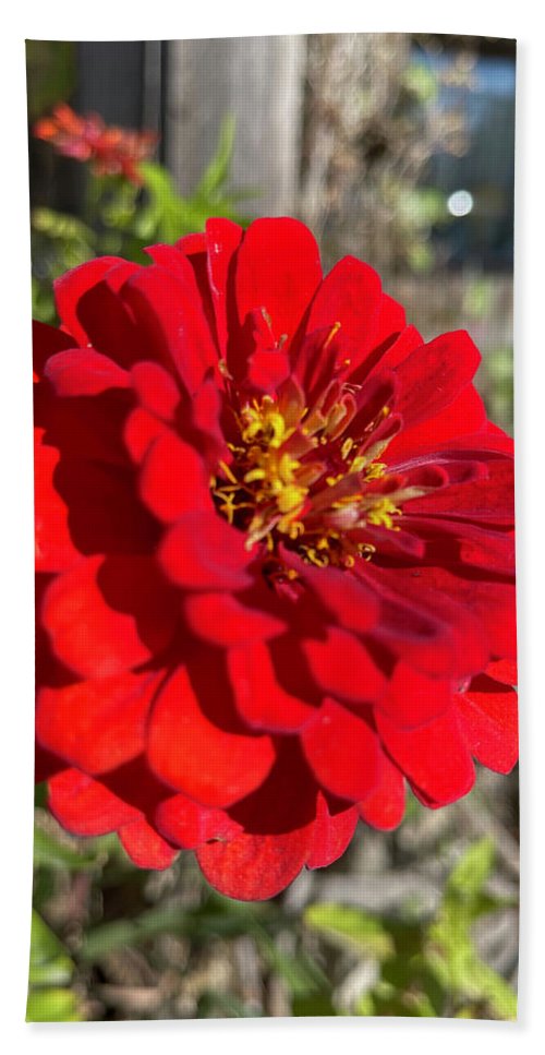 Red Flower In Autumn - Bath Towel