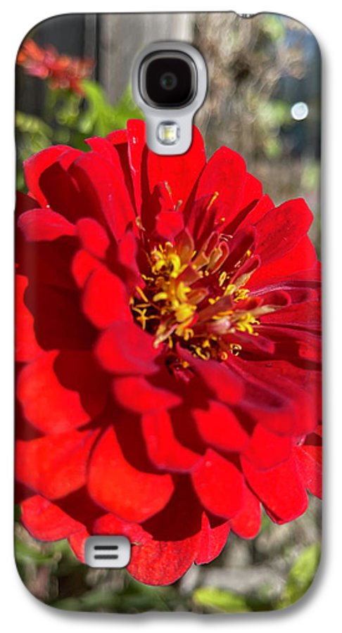 Red Flower In Autumn - Phone Case