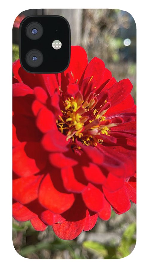 Red Flower In Autumn - Phone Case
