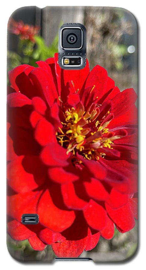 Red Flower In Autumn - Phone Case