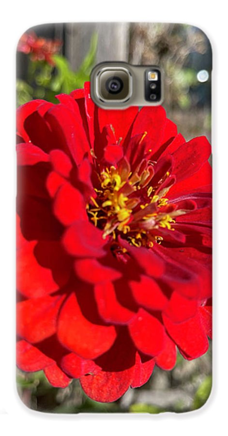 Red Flower In Autumn - Phone Case