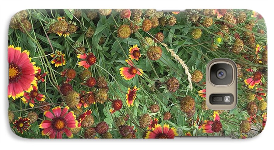 Red Orange Flower Garden - Phone Case