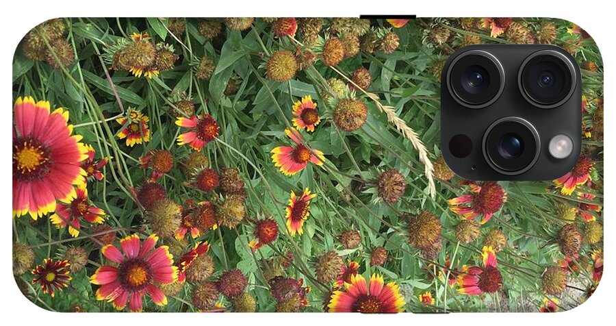 Red Orange Flower Garden - Phone Case