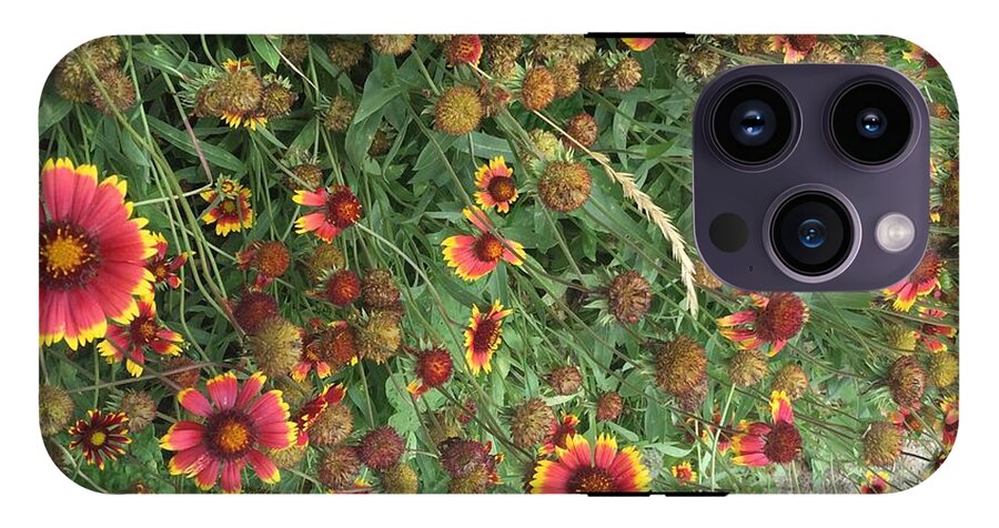 Red Orange Flower Garden - Phone Case