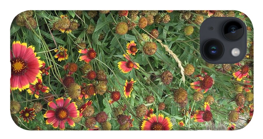 Red Orange Flower Garden - Phone Case