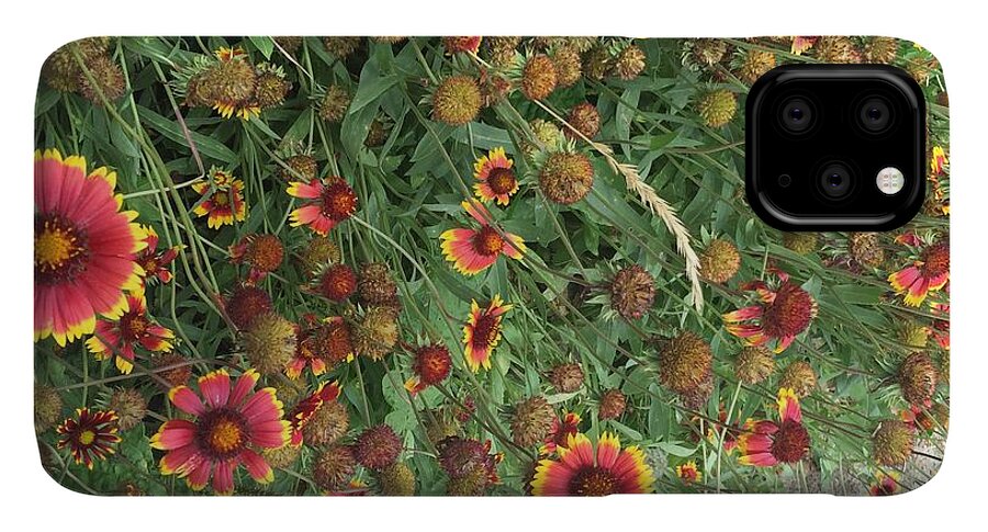 Red Orange Flower Garden - Phone Case