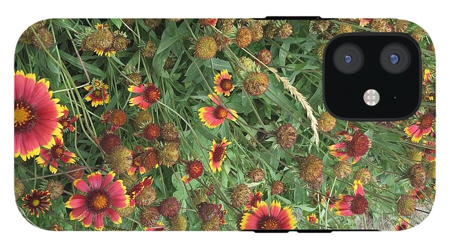 Red Orange Flower Garden - Phone Case