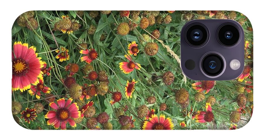 Red Orange Flower Garden - Phone Case