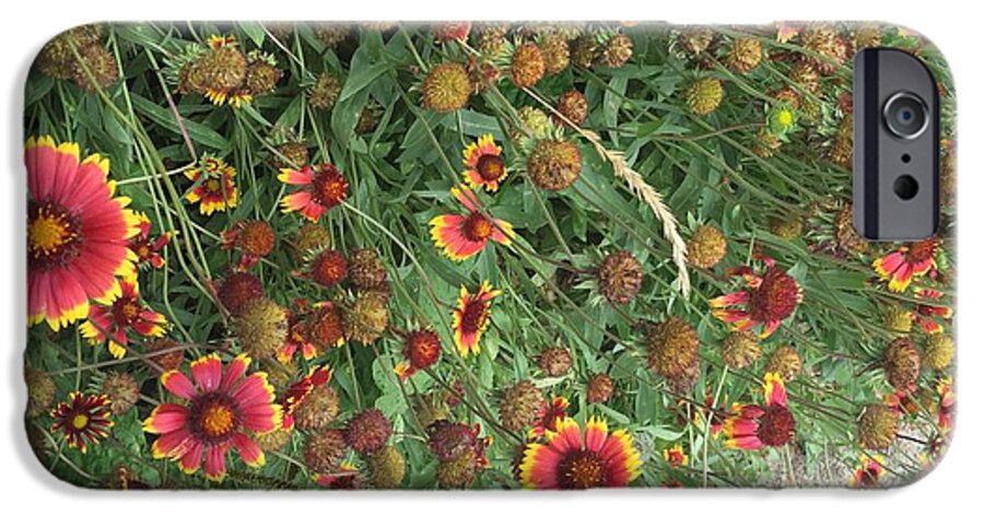 Red Orange Flower Garden - Phone Case