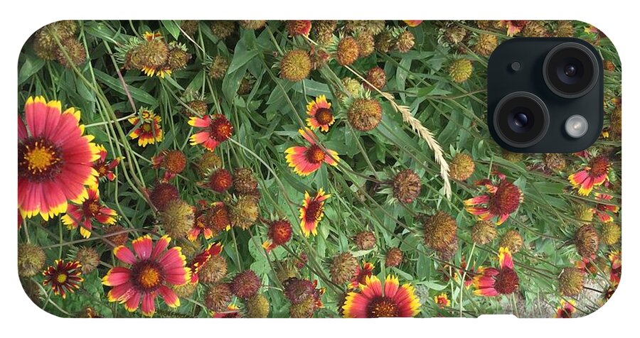 Red Orange Flower Garden - Phone Case