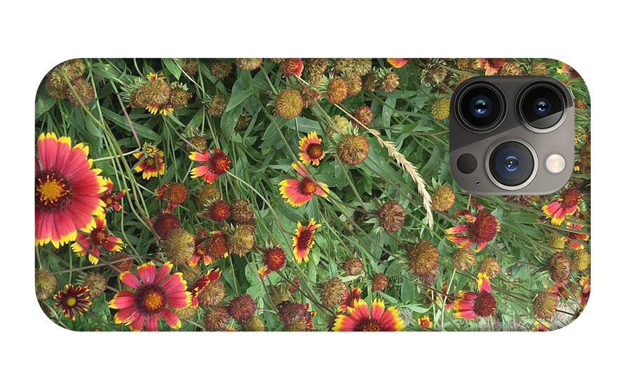 Red Orange Flower Garden - Phone Case