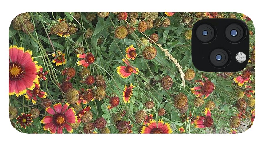 Red Orange Flower Garden - Phone Case