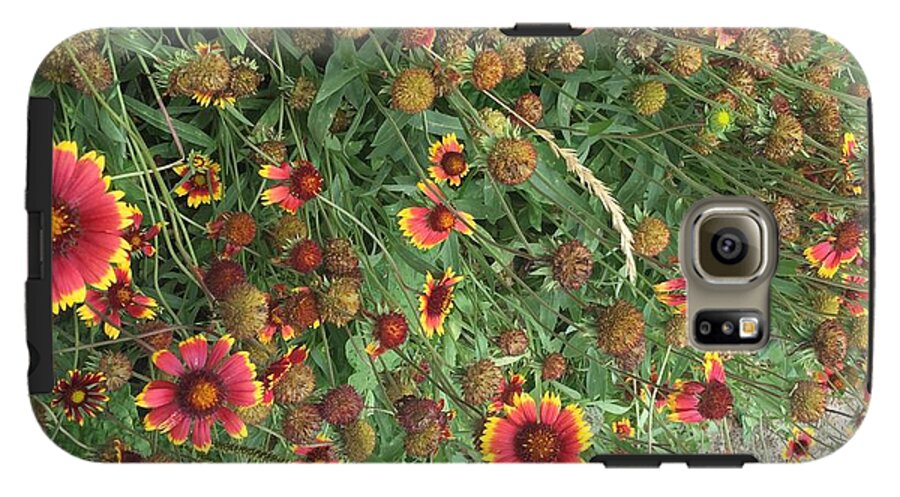 Red Orange Flower Garden - Phone Case