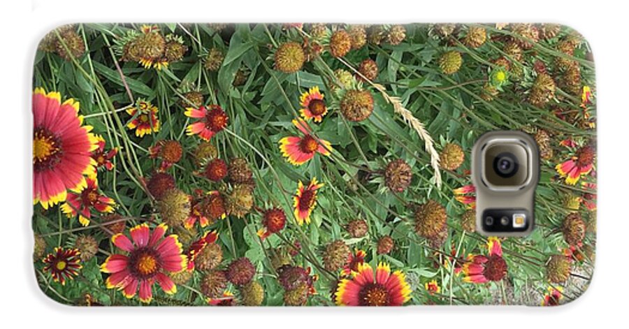 Red Orange Flower Garden - Phone Case