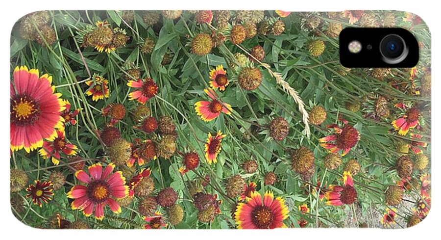 Red Orange Flower Garden - Phone Case