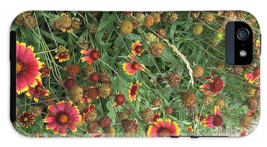 Red Orange Flower Garden - Phone Case