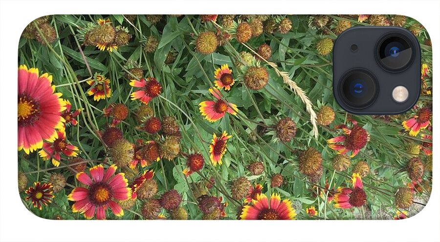 Red Orange Flower Garden - Phone Case