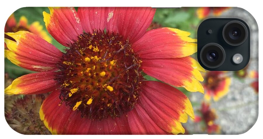 Red Orange Flower With Pollen - Phone Case