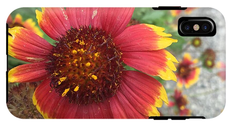 Red Orange Flower With Pollen - Phone Case