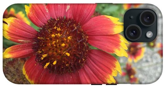 Red Orange Flower With Pollen - Phone Case