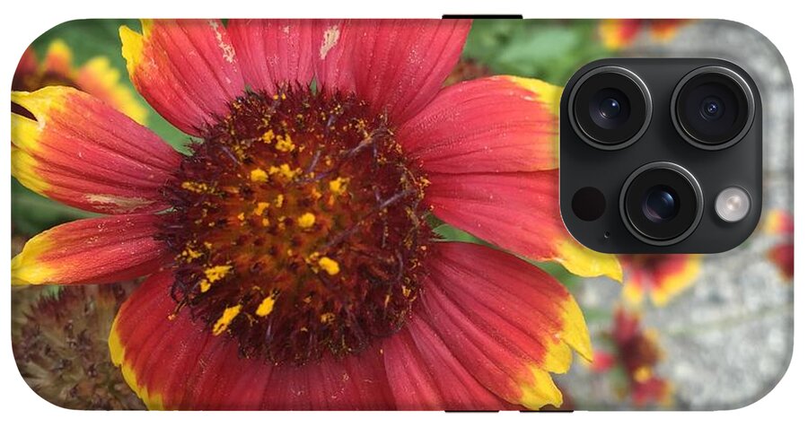 Red Orange Flower With Pollen - Phone Case