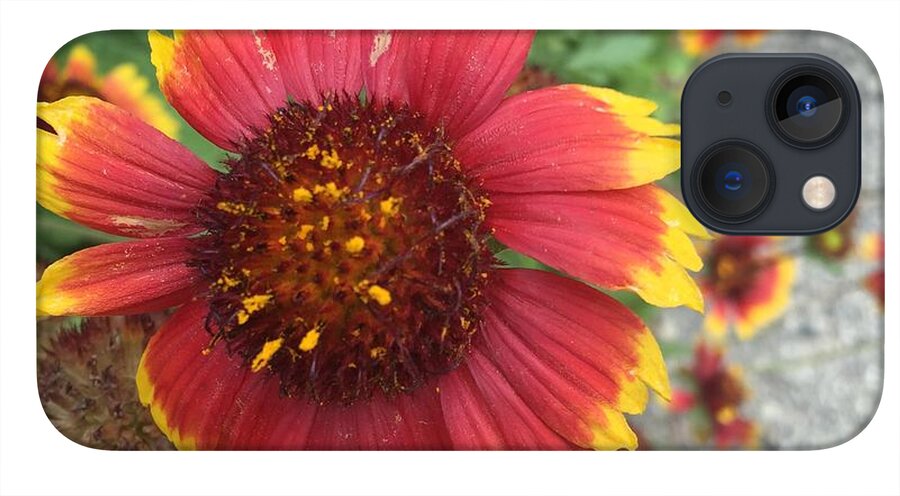 Red Orange Flower With Pollen - Phone Case