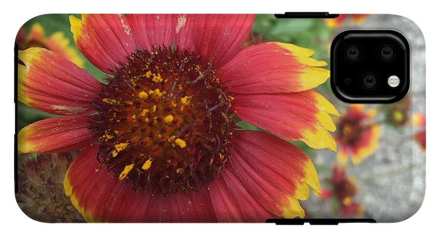 Red Orange Flower With Pollen - Phone Case
