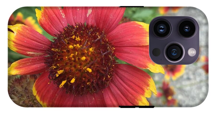 Red Orange Flower With Pollen - Phone Case