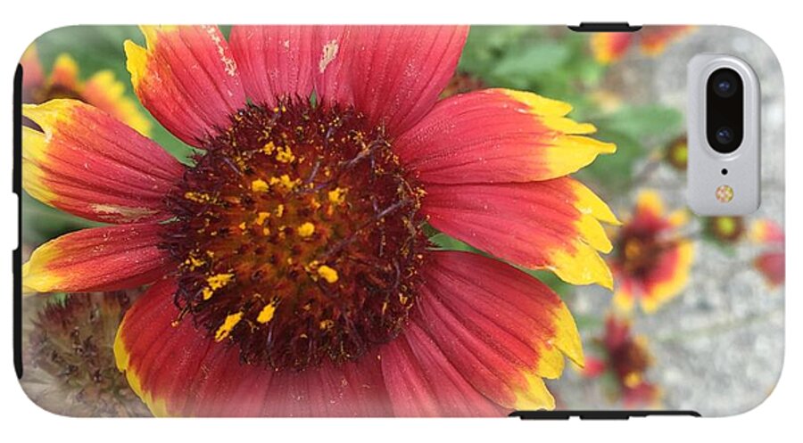 Red Orange Flower With Pollen - Phone Case
