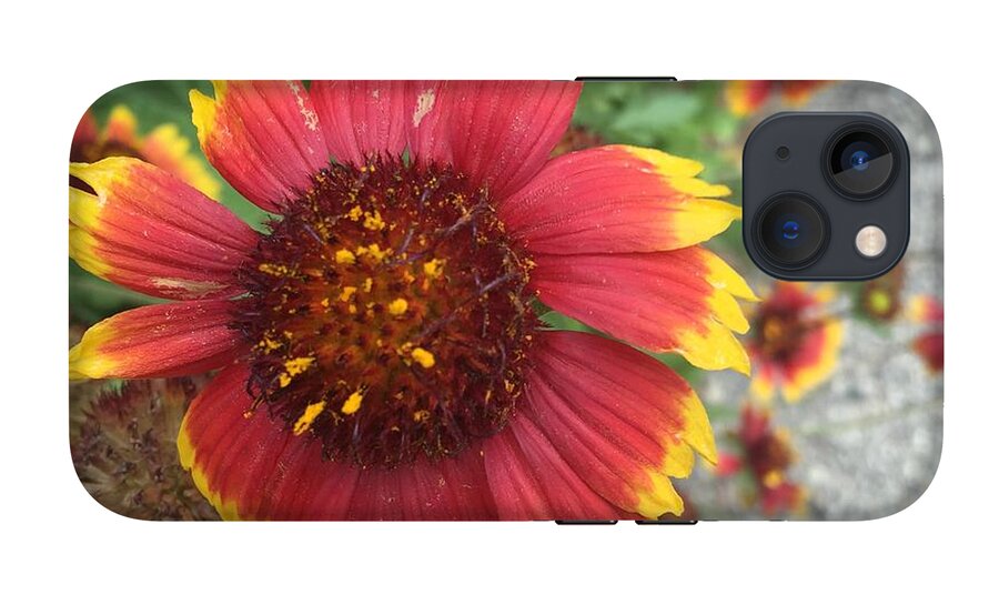 Red Orange Flower With Pollen - Phone Case