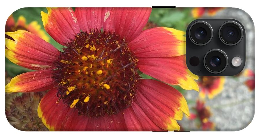 Red Orange Flower With Pollen - Phone Case