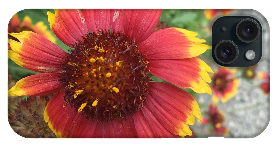 Red Orange Flower With Pollen - Phone Case