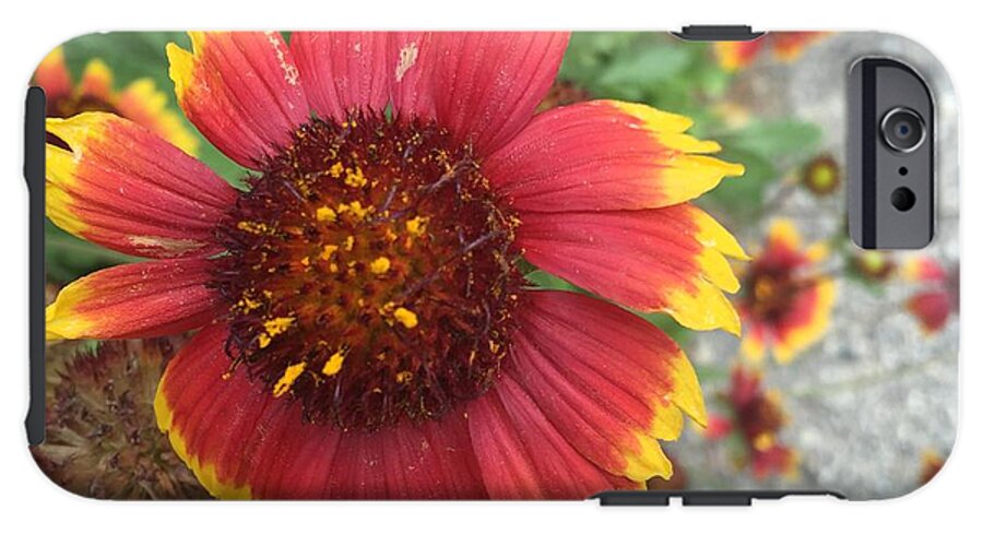 Red Orange Flower With Pollen - Phone Case