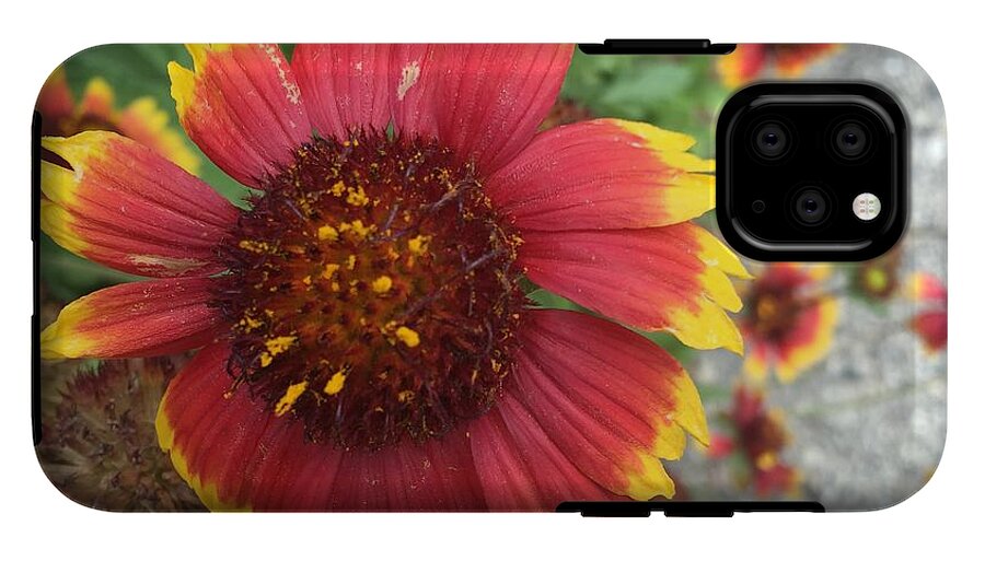 Red Orange Flower With Pollen - Phone Case