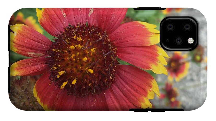 Red Orange Flower With Pollen - Phone Case