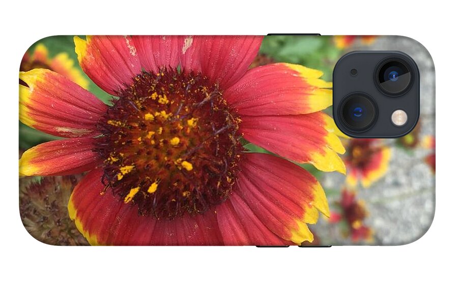 Red Orange Flower With Pollen - Phone Case