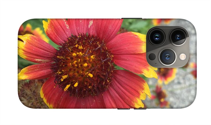 Red Orange Flower With Pollen - Phone Case