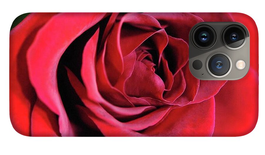 Red Rose Close Up - Phone Case