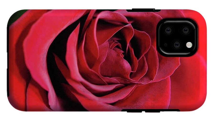 Red Rose Close Up - Phone Case