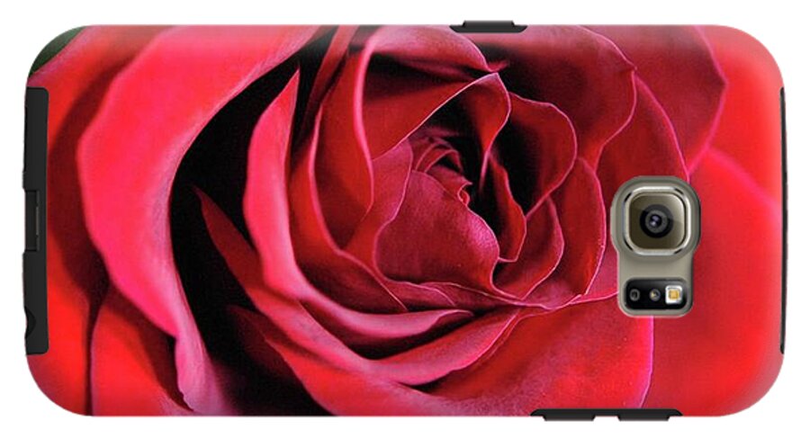 Red Rose Close Up - Phone Case