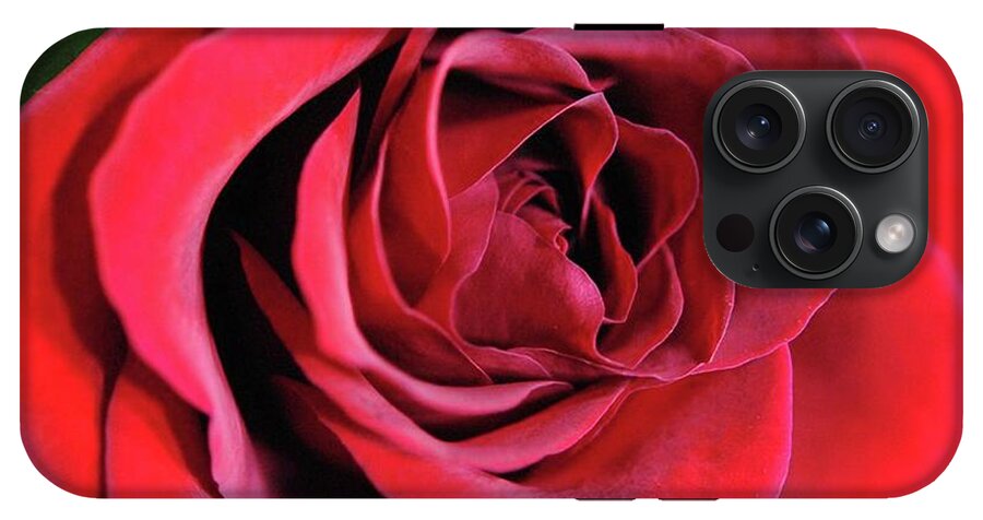 Red Rose Close Up - Phone Case