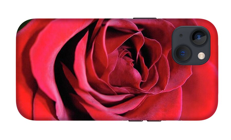 Red Rose Close Up - Phone Case