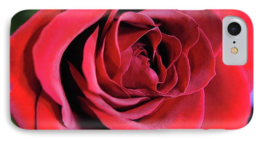 Red Rose Close Up - Phone Case